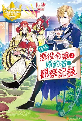 苍穹守护者
